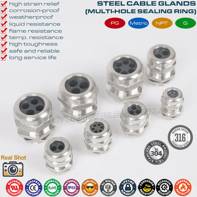 IP68 Brass Multi-Hole Cable Glands, 304/316 Stainless Cable Glands PG & Metric c/w Multi-Orifice (Multi-Entry) Seal