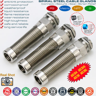 AISI316L, AISI316, AISI304 Baja tahan karat Logam PG Kelenjar Kabel Fleksibel (IP68) dengan Pencegahan Tekanan Spiral Tambahan